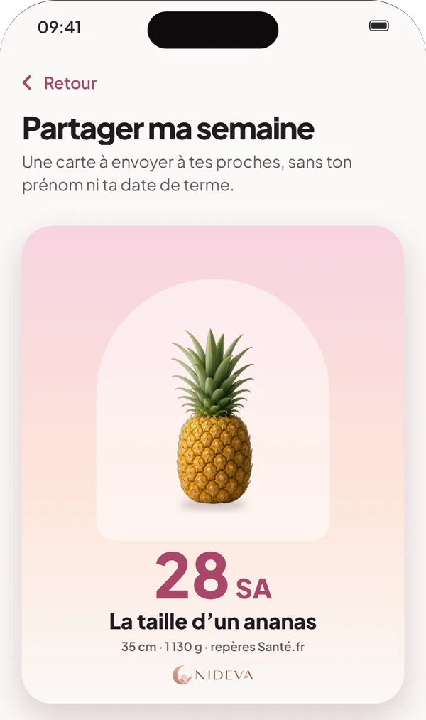 Écran Partager ma semaine : la carte de 28 SA, bébé de la taille d’un ananas
